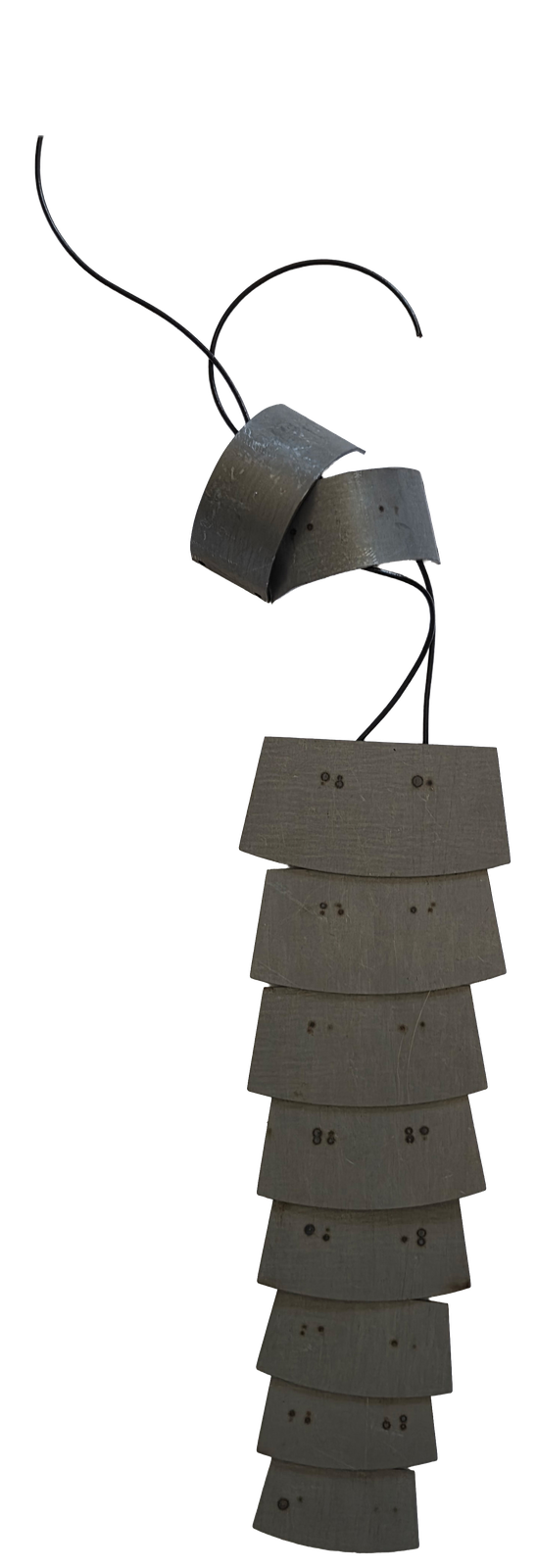 Neck scam